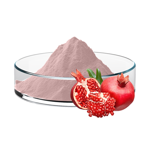 Pomegranate Juice Powder