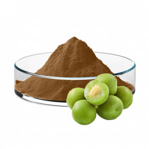 Phyllanthus Emblica Extract