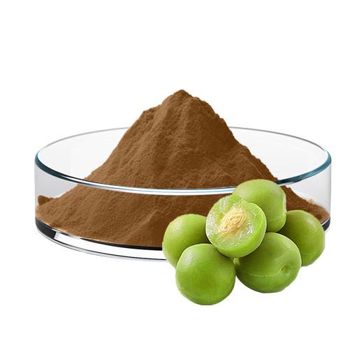 Phyllanthus Emblica Extract