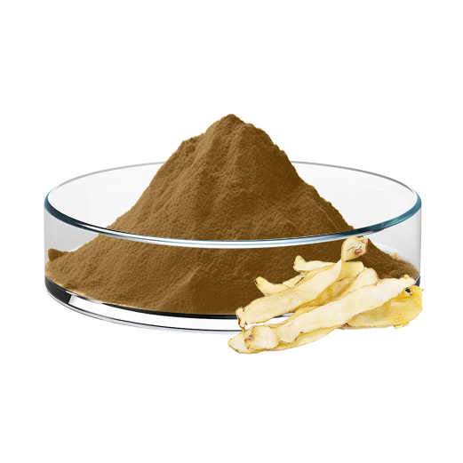 Polygonatum Odoratum Rhizome Extract