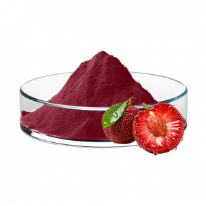 Bayberry fruit powder