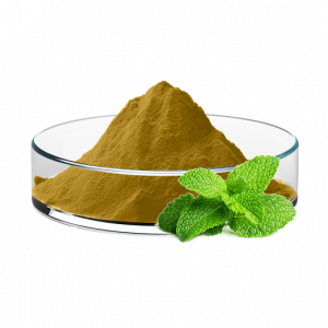Mint Extract