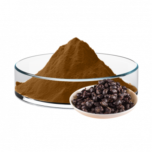 Fermented Soybean Extract