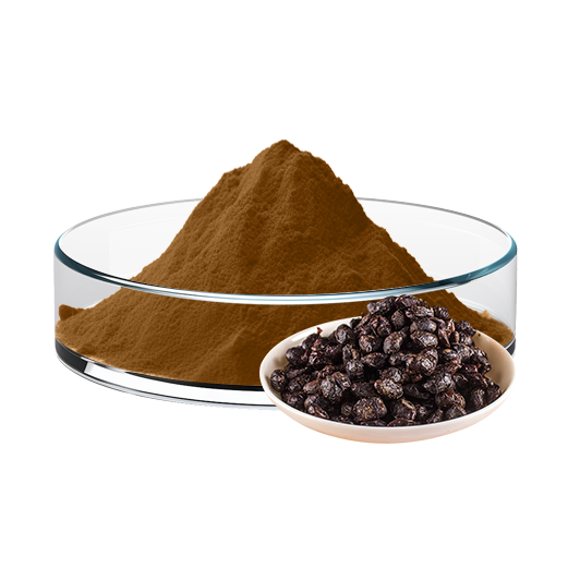 Fermented Soybean Extract