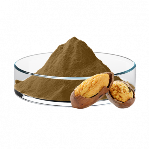 Grand Torreya Seed Extract
