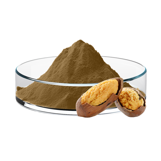 Grand Torreya Seed Extract