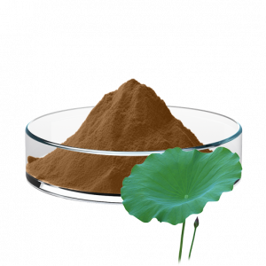 Lotus Leaf Extract (5:1/10:1/20:1)