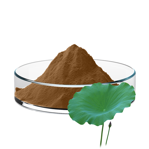 Lotus Leaf Extract (5:1/10:1/20:1)