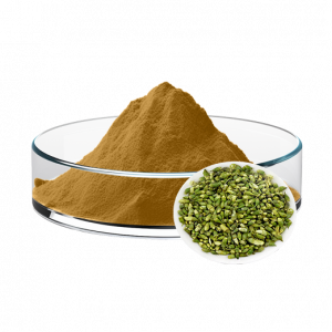 Sophora Japonica Flower Bud Extract (5:1/10:1/20:1)