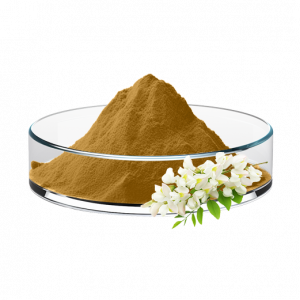 Sophora Japonica Flower Extract (10:1/20:1)