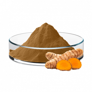 Turmeric Extract