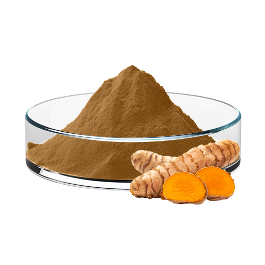 Turmeric Extract
