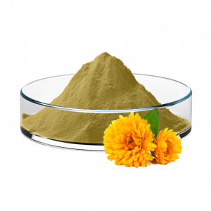 Chrysanthemum Extract