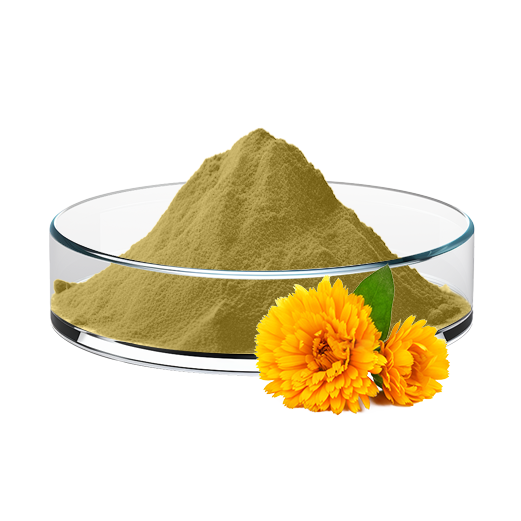 Chrysanthemum Extract