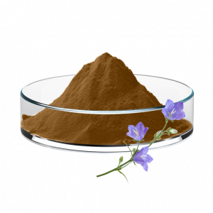 Platycodon Extract/powder