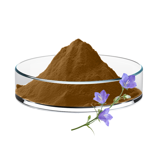 Platycodon Extract/powder