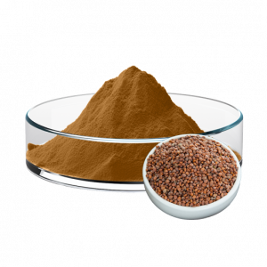 Radish Seed Extract