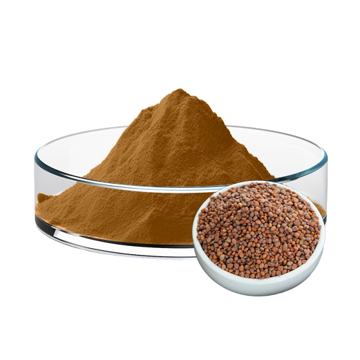 Radish Seed Extract