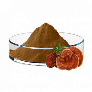 Ganoderma Extract