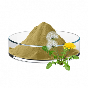 Dandelion Extract