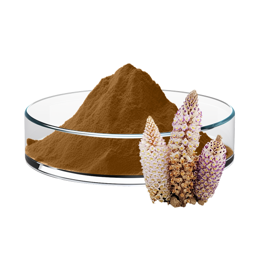 Cistanche Tubulosa Extract
