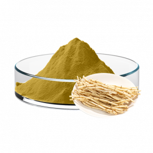Imperata Rhizome Extract