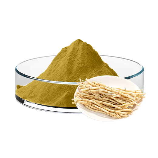 Imperata Rhizome Extract