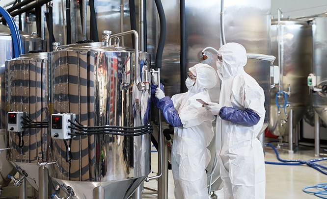 Stainless steel extraction and processing lines inside Qinghekang's clean workshop
